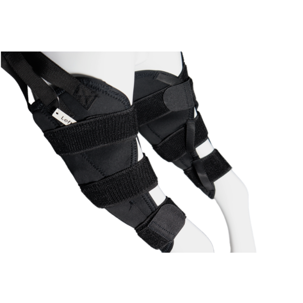 Best Dog Brace for Torn ACL LOVEPLUSPET