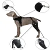 Best Dog Brace for Torn ACL | LOVEPLUSPET