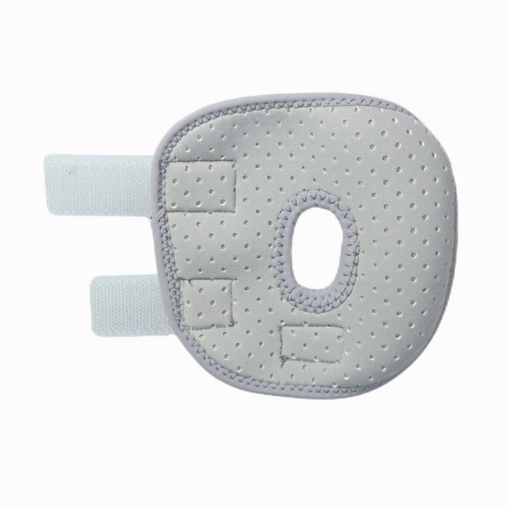 Back Hock Dog Brace