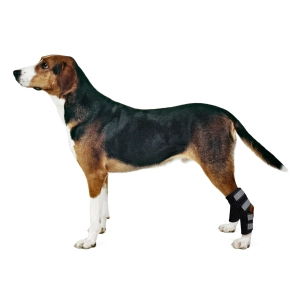 Dog Ankle Brace