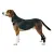 Dog Ankle Brace