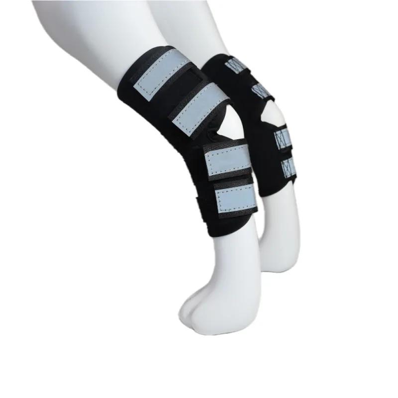 Best Dog Ankle Brace For Sale | LOVEPLUSPET