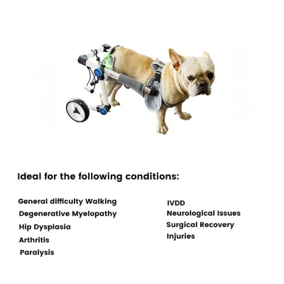 Fodable Rear Wheels for Small Dogs