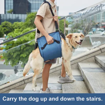  Belly Sling for Large Dogs