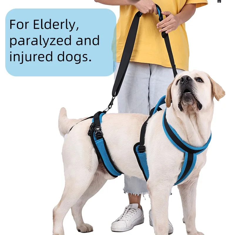 Dog harness full body weight lifting