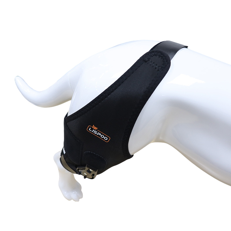 Best Dog Knee & Leg Brace For Torn ACL For Sale LOVEPLUSPET