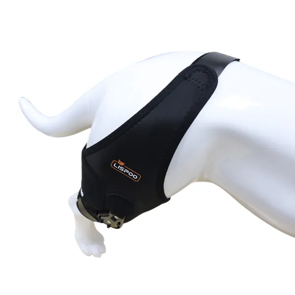Adjustable Dog Acl Brace