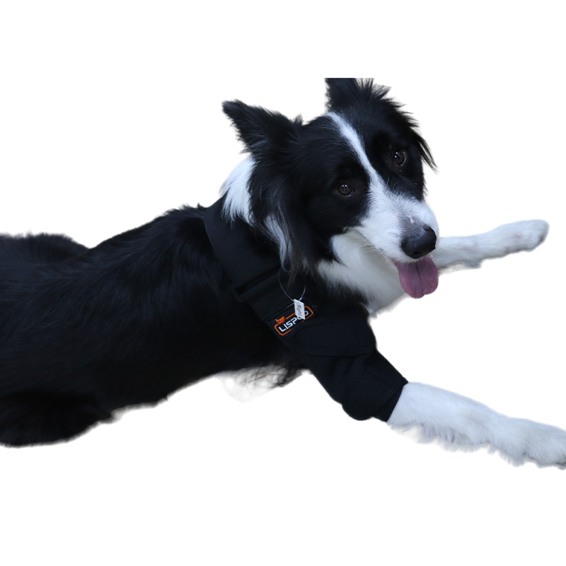 Elbow and shoulder brace for dogs