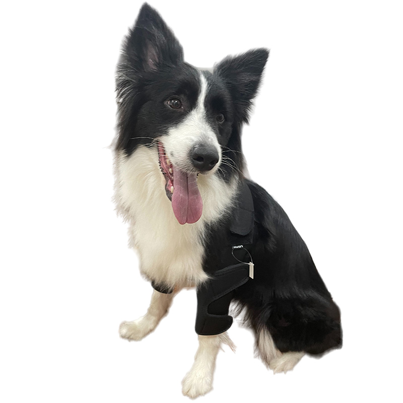 Elbow and shoulder brace for dogs