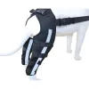 Hinged Dog Double Leg Brace