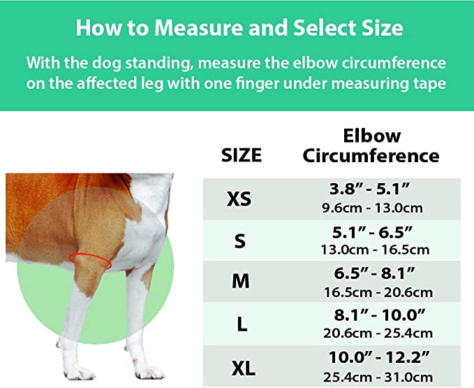Elbow Support for Dogs with Arthritis