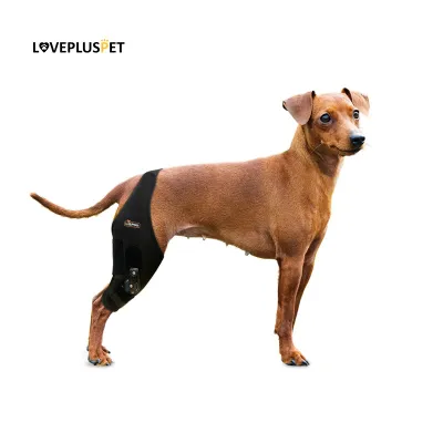 Adjustable Dog Acl Brace