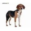 Adjustable Dog Acl Brace