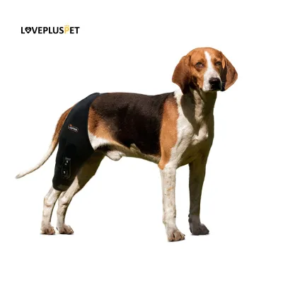 Adjustable Dog Acl Brace