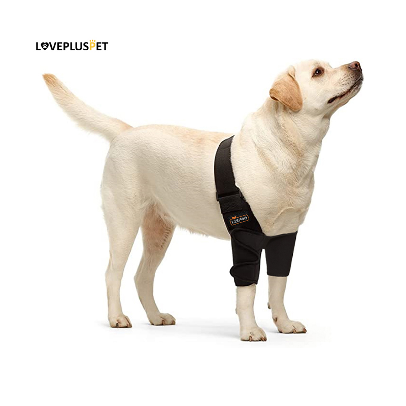 Dog front elbow store brace