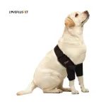 Dog Double Elbow & Shoulder Brace