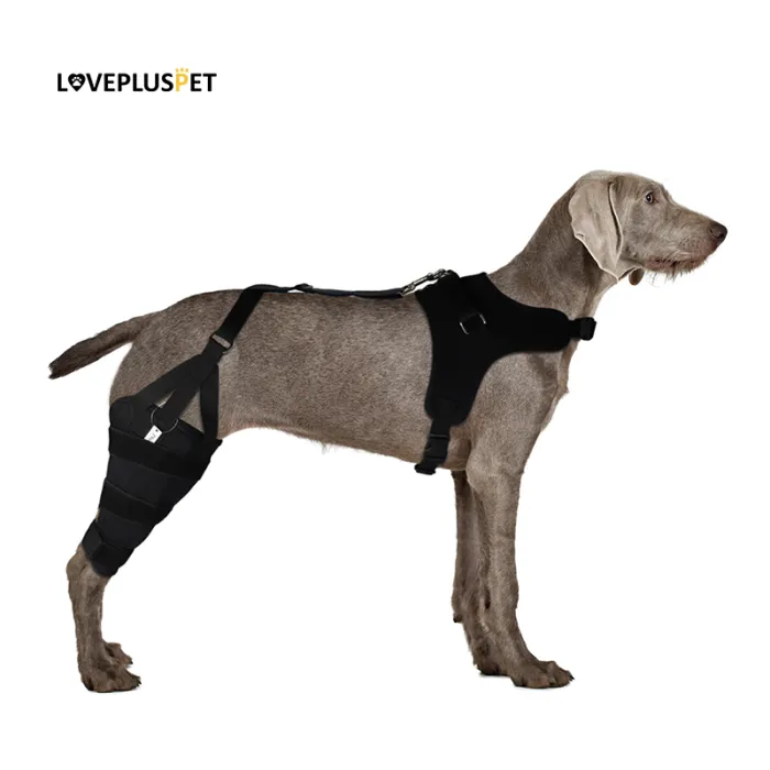 Dog Leg Braces for Back Leg - Dog Knee Brace For Support With Cruciate