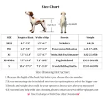Lightweight Quad Wheelchair for Small Dogs