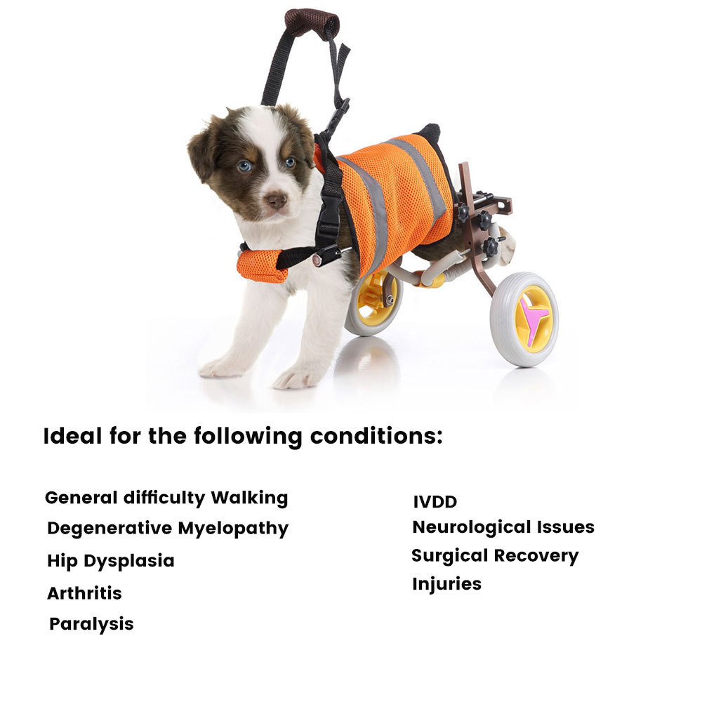 Back Wheelchairs for Small Dogs