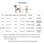 Fodable Rear Wheels for Small Dogs