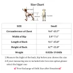 Small Rear Support Dog Wheelchair