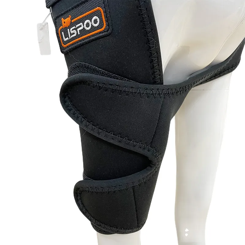 Elbow Support for Dogs with Arthritis