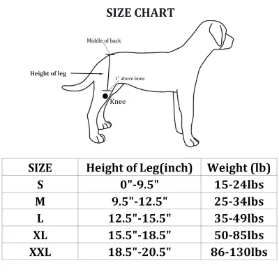Dog Hip Dysplasia Brace