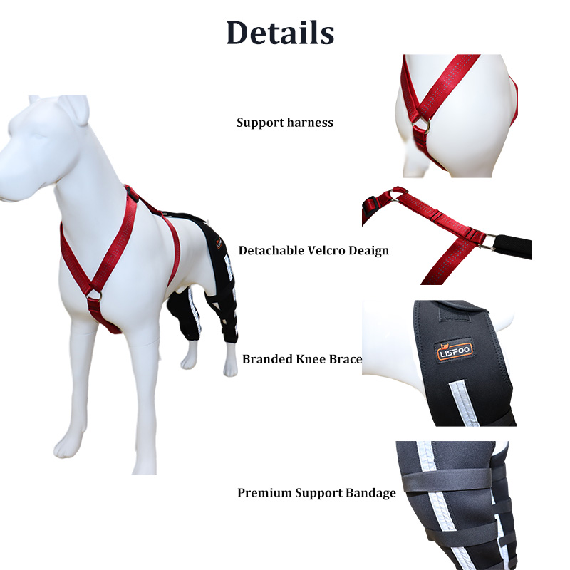 luxating-patella-dog-knee-brace-lovepluspet