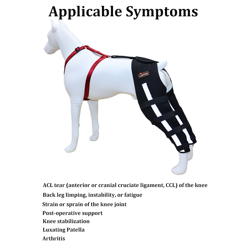 Luxating Patella Dog Knee Brace｜Lovepluspet