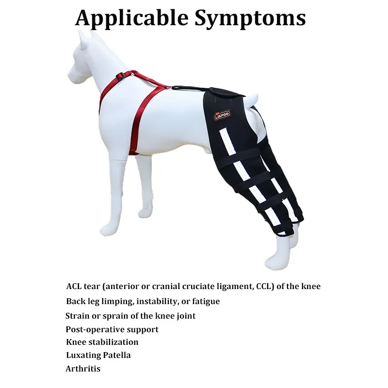 Luxating Patella Dog Knee Brace｜Lovepluspet