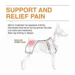 Labrador Dog Hip Brace 