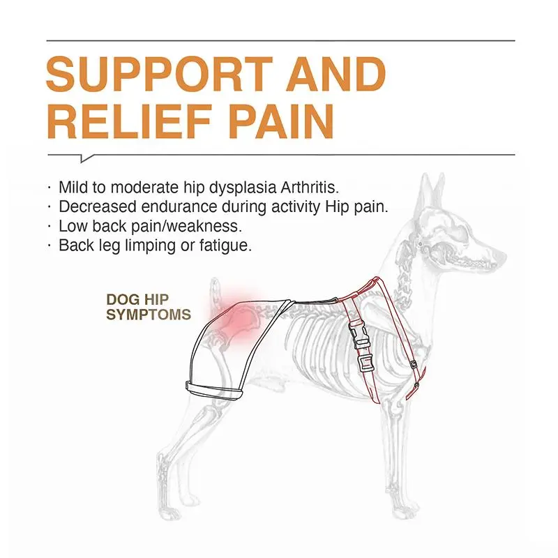 Labrador Dog Hip Brace 