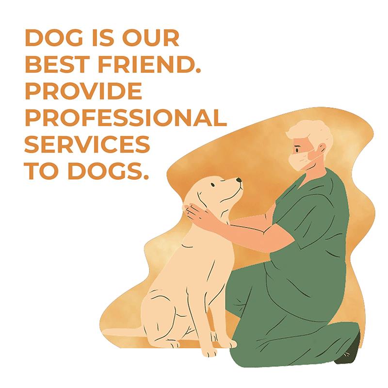 Labrador Dog Hip Brace 