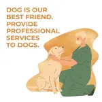 Labrador Dog Hip Brace 