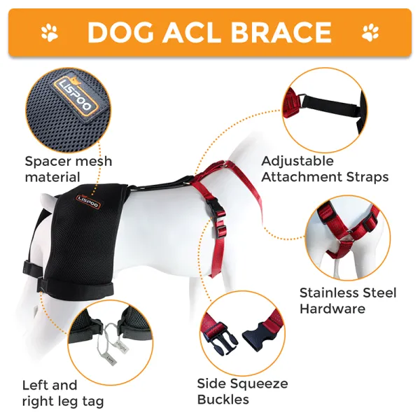 Best Dog Hip Dysplasia Support Brace For Sale LOVEPLUSPET