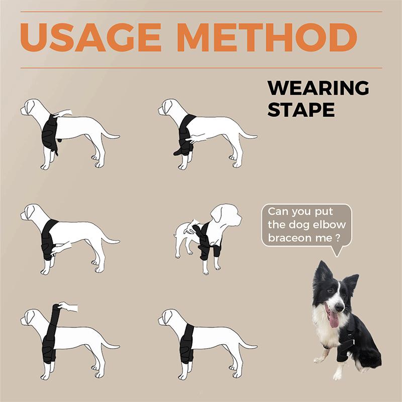 Border Collie Dog Elbow Brace