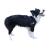 Border Collie Dog Elbow Brace