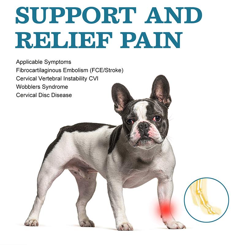 Dog Front Leg No-Knuckling Training Sock