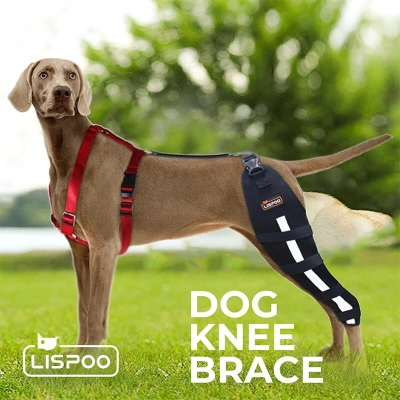 Knee pads for dogs 02