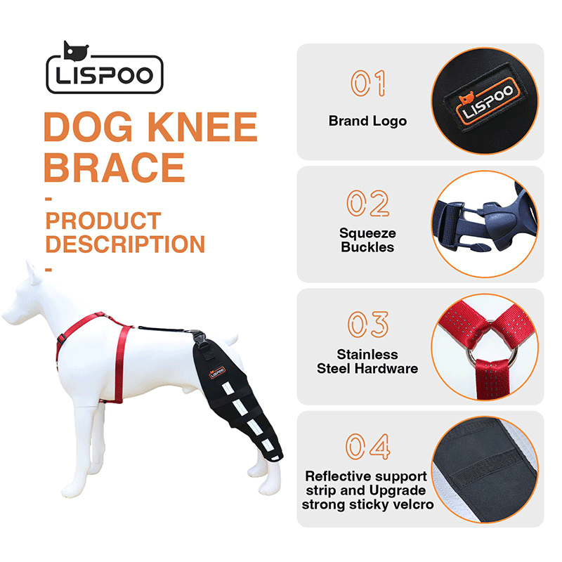 Dog Knee Brace
