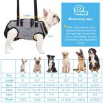 Oxford Full Body Lifting Harness for Dogs