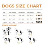 Golden Retriever Double Hind Leg Hinged Knee Brace