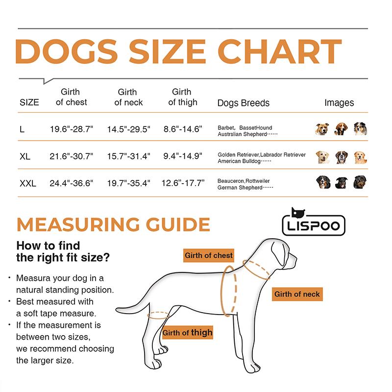 Labrador Dog Hip Brace 