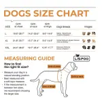 Labrador Dog Hip Brace 
