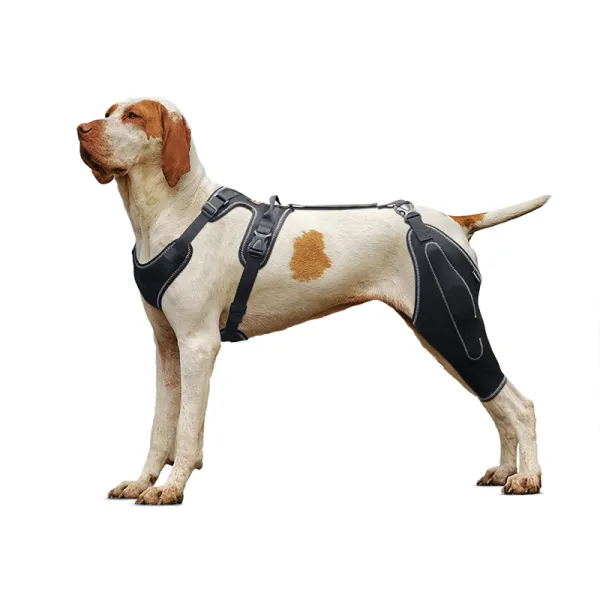 Dog Knee Brace for Torn Acl Hind Leg