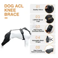 Dog Knee Brace for Torn Acl Hind Leg