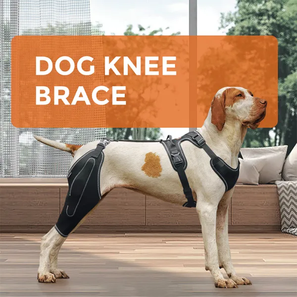 Dog Knee Brace with Metal Splint Hinge Support for ACL