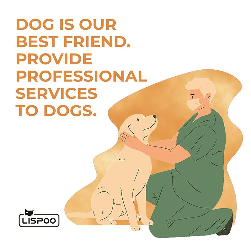 Hip braces for dogs with hip dysplasia