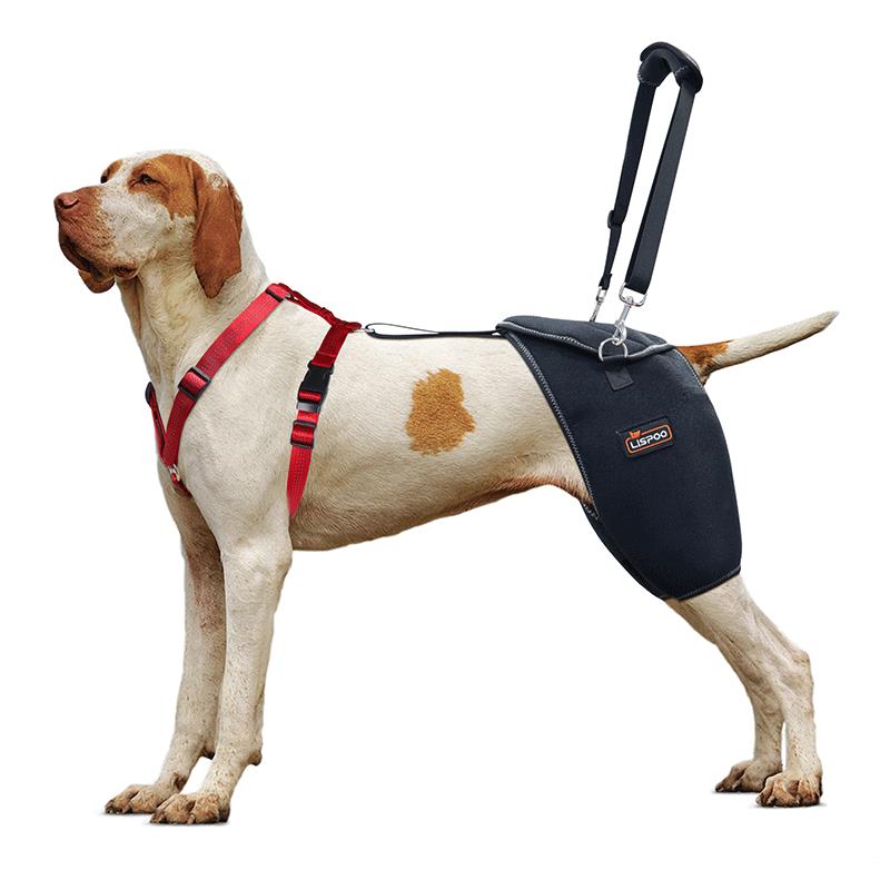 Neck brace for dogs with wobblers top
