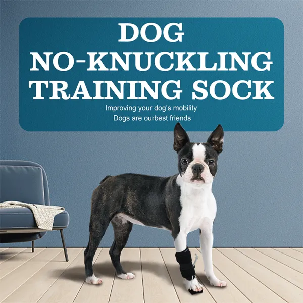 Dog Front Leg NoKnuckling Training Sock Lovepluspet